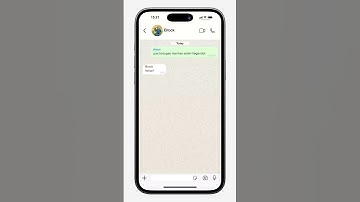 Custom WhatsApp Chat Animation