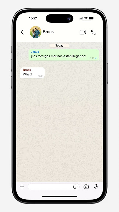 Custom WhatsApp Chat Animation