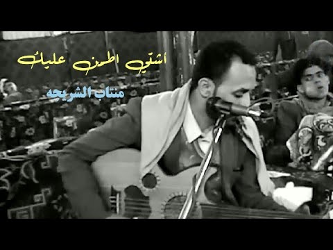أشتي اطمن عليك منتاب الشريجه   2019