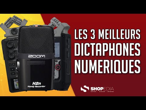 Vidéo: Dictaphones (53 Photos) : Professionnels Pour L'enregistrement De Conversations Et Autres Types. Qu'est-ce Que C'est Et Quel Dictaphone Est-il Préférable De Choisir? Évaluation Des