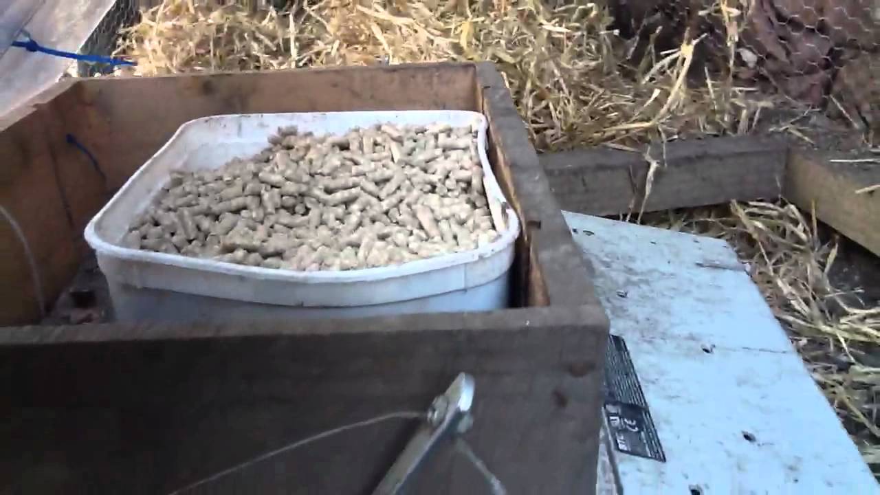 Diy Treadle Operated Chicken Feeder Youtube