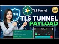 How to Setup TLS Tunnel Payload with Private Server