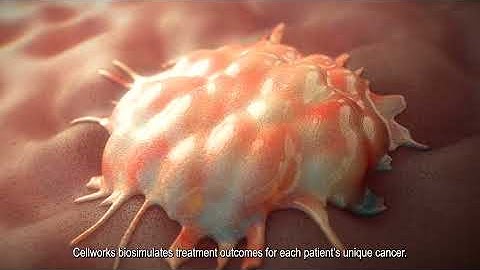 View How Personalized Therapy Biosimulation Works