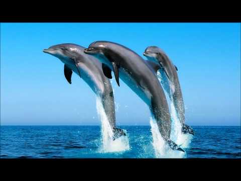 Nu - Any other Girl ( Planet Funk Dub Mix )