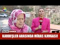 Kardeşler arasında miras kavgası!