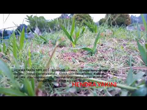 LAGU GALAU ❤️ mp3 (hendra yakini) \