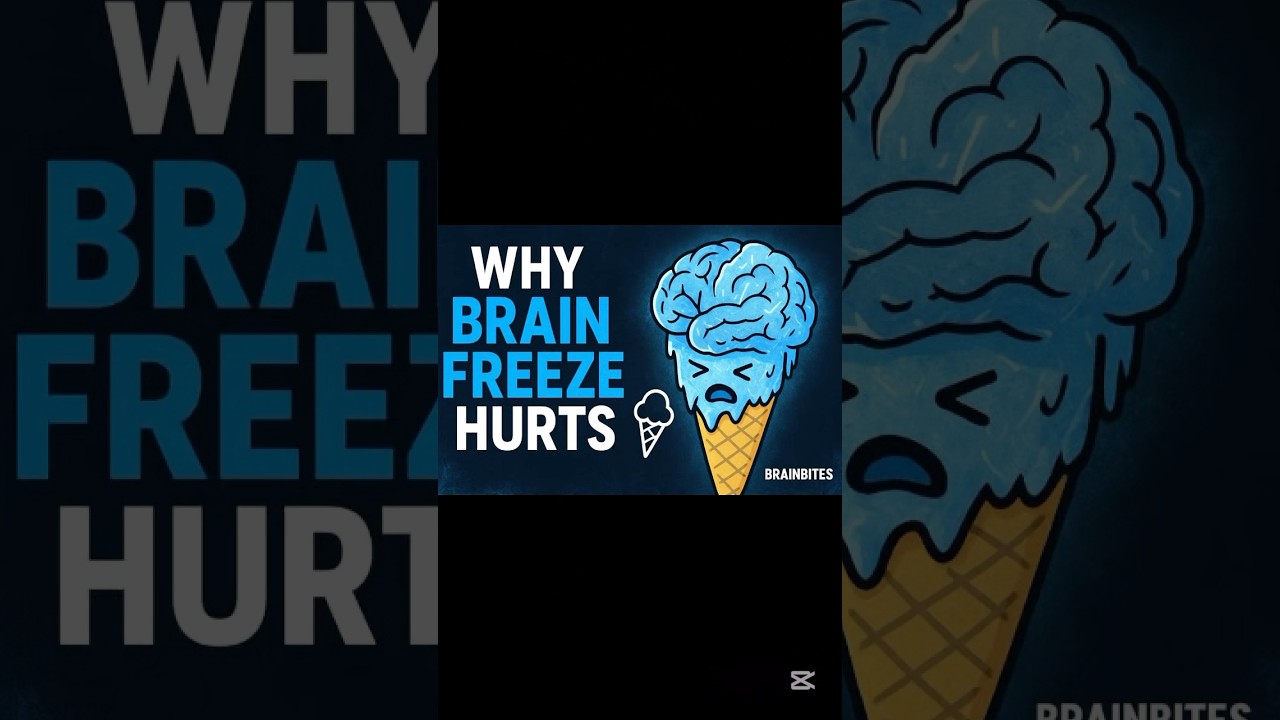 Brain Freezes Explained. 