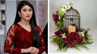 Shivangi Joshi same dress 👗 colour ❤️ Bird 🕊️  cage #youtube #soniya #subscribe #song #tardingvideo