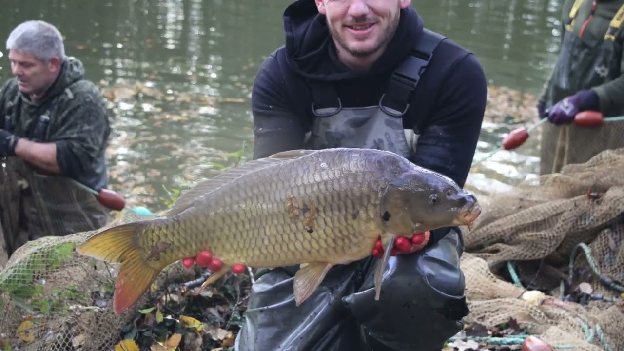 Famous Five Fishing - Birch Lake Netting November 2023