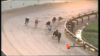 GEL TUE 19 APR 16 R9