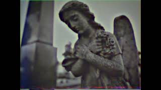 Elliot ludwig biography VHS with subtitle (poppy playtime)