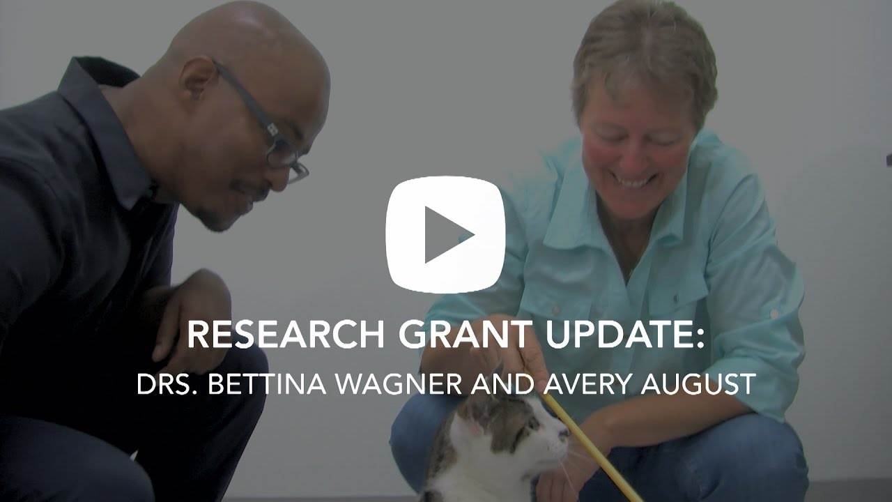 Cornell Feline Health Center 2015 Grant Updates: Drs. Avery August and Bettina Wagner
