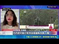 戰場+1? 傳古巴囤無人機嗆美:動武就"血流成河" 替川普施壓? 美CIA局長罕見訪問哈瓦那│記者 盧巧萍│國際焦點20260519│三立新聞台