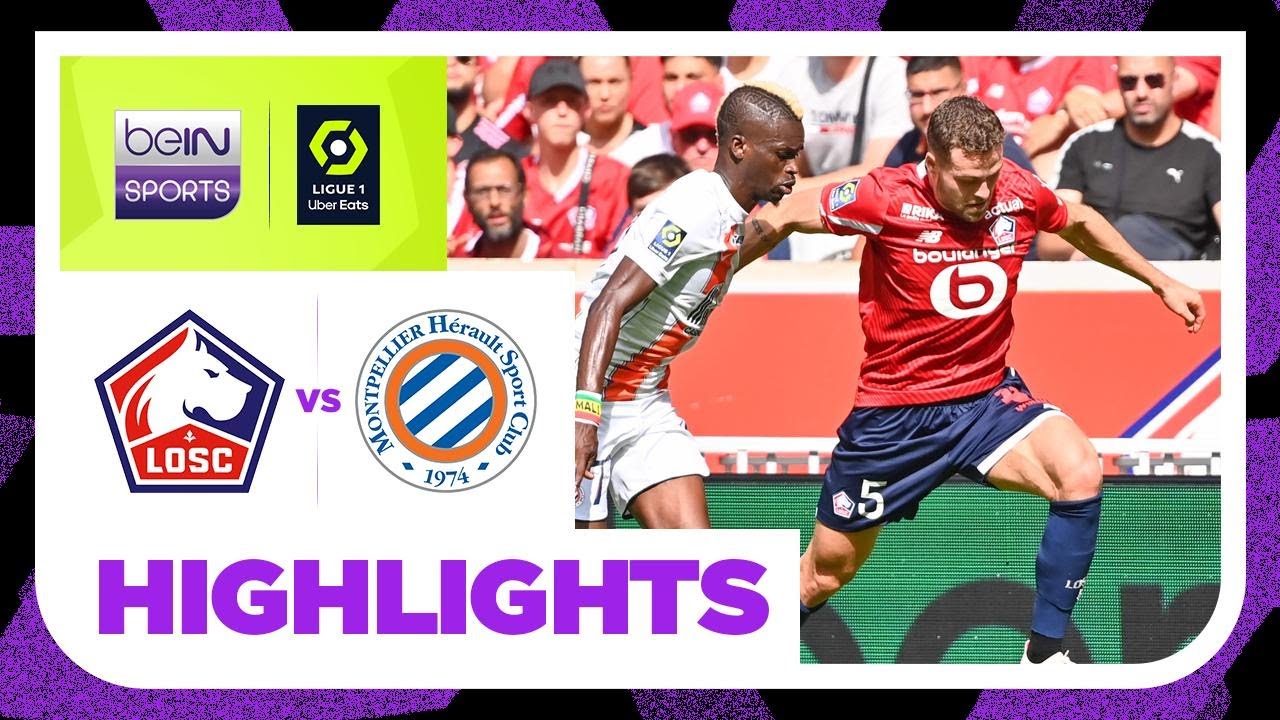 Lille v Montpellier | Ligue 1 23/24 Match Highlights