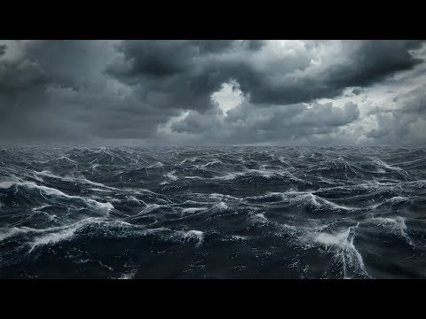 Stürmische Ostsee: 5
