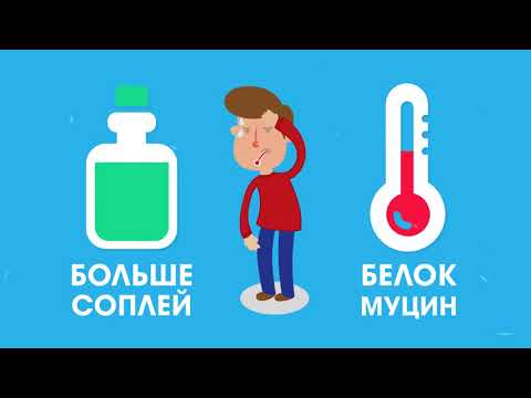 Сопли, откуда они берутся