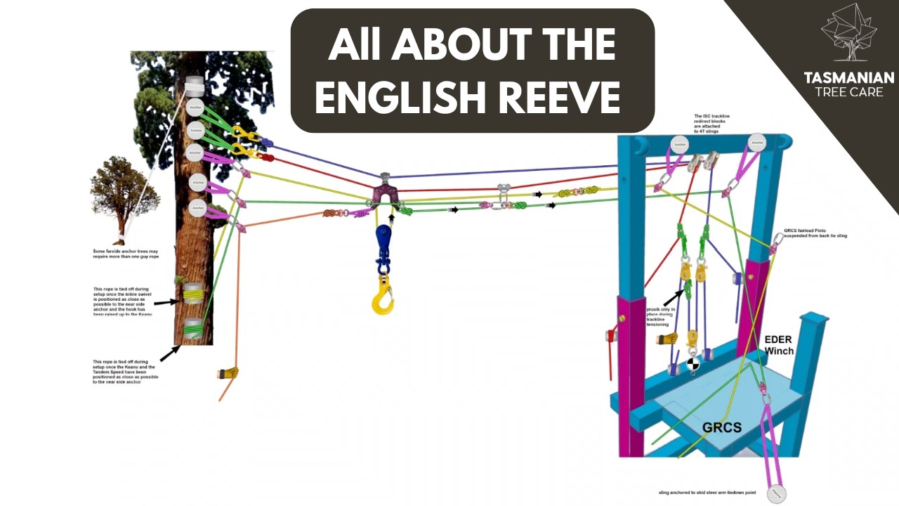 English Reeve Tree Work THE ENGLISH REEVE - Highline Dual Trackline Reeve System Overview - YouTube