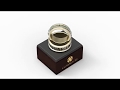 Video: Wedding Rings With Capricorn Zodiac - Jewelry 3D CAD