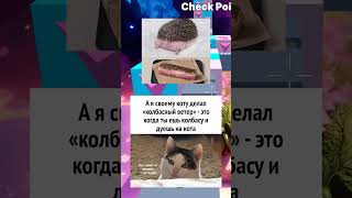 Мемы в огонь #shrots  #meme  #edit  #fyp #memes #megamod