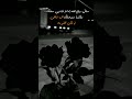 ستأتي رياح الله بما لا تشتهي سفنك ولكنها ستوصلك إلى شاطئلم تكن تحلم به عبارات اقنباسات 