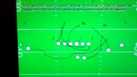 Bash Sweep/QB counter trey read