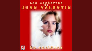 Download Lagu La Cariñosa MP3 Download Lagu La Cariñosa MP3