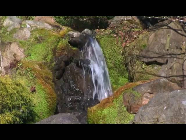 Медитация на наполнение и очищение свадхистаны чакры