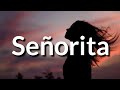 Shawn Mendes, Camila Cabello - Señorita (Lyrics)