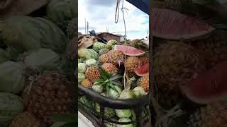 African Fruits travel