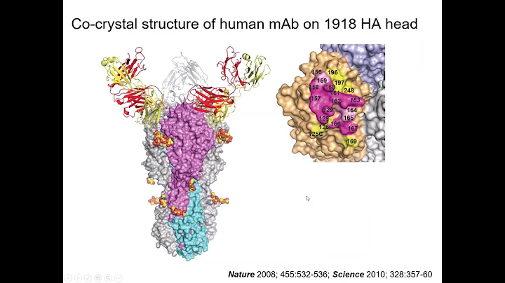 James Crowe - Influenza Webinar Series - August 2018