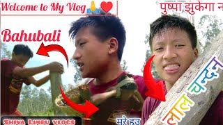 जंगलमा दाउरा खोज्न जाँदा 🎒#vlogs #travelvlog #viralvideo #treandingvideo #forest #treecutting