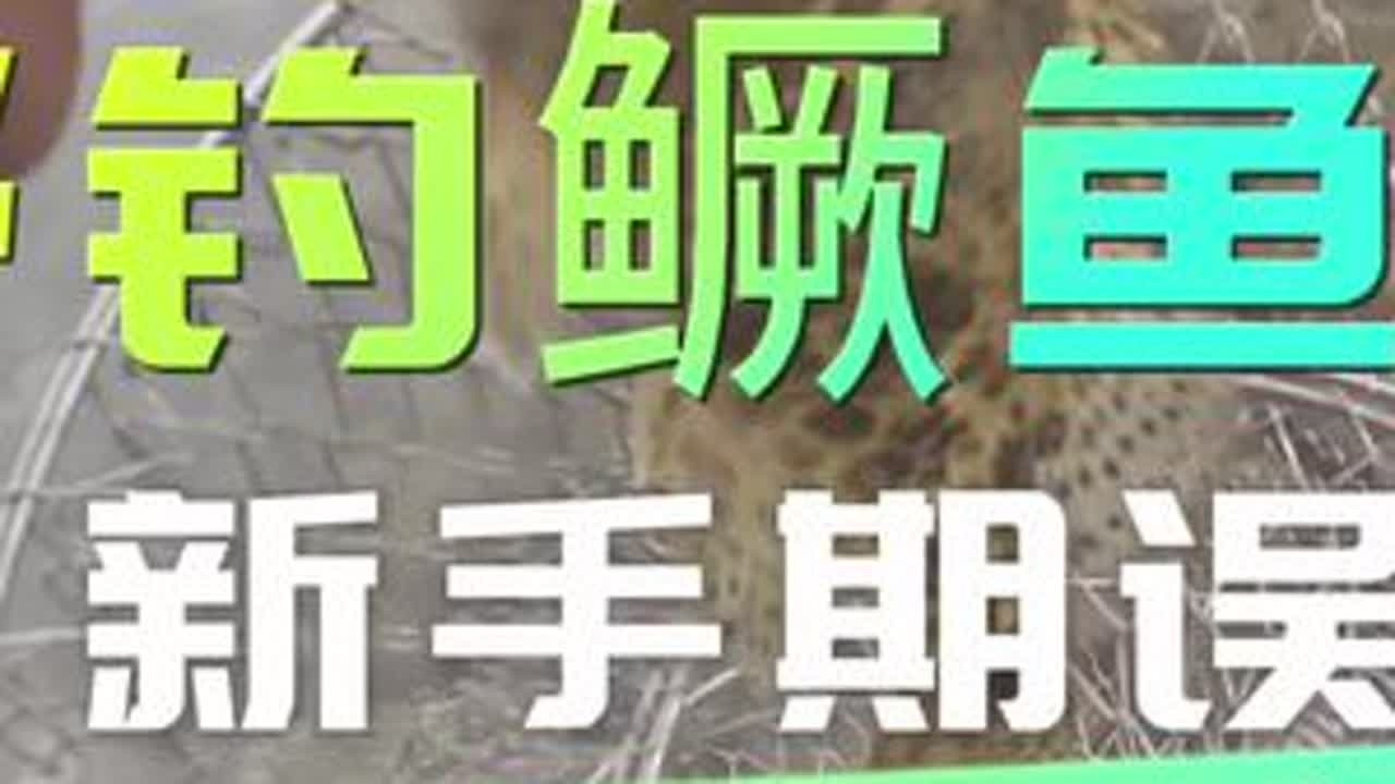 路亚鳜鱼跳底不是毫无规律的乱动而是为了让饵在水中达到特定目的 #路亚鳜鱼 #路亚新手入门教程 #户外野钓 #路亚斑鳜 #路亚野钓