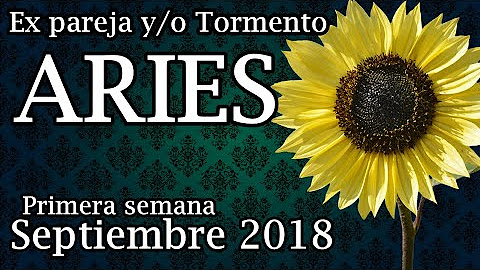 Tarot del Girasol - YouTube