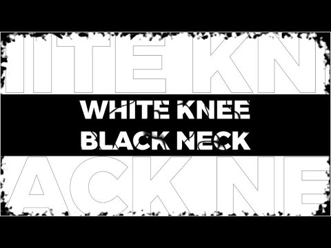 White Knee Black Neck