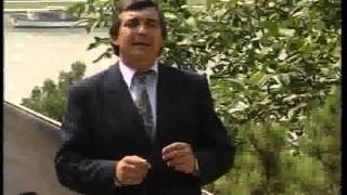 Miniatura del video "Mica Stanojevic Piromanac - I za senkom njenom patim - (Official Video 1992)"