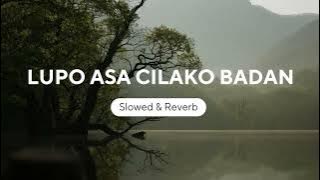 Lupo Asa Cilako Badan (Slowed & Reverb)