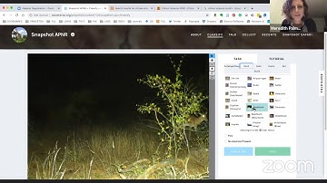 Citizen Science Online with Princeton Libraries!