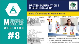 Week #8: Protein Purification and Characterization  3/3: Evaluating Protein Purity