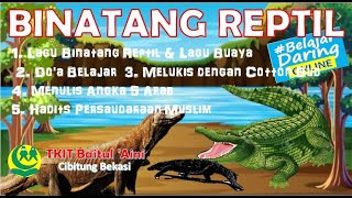 Lagu Binatang Reptil & Buaya - Biawak & Komodo Melukis dgn Cotton Bud - Hadits Persaudaraan Muslim