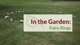 Celebrity In the Garden: Fairy Rings Wealth
