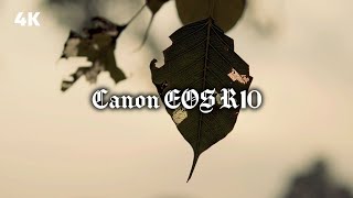 Canon EOS R10 - 4K Video Quality Footage