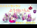 ミニミニランラン 妖精らん2