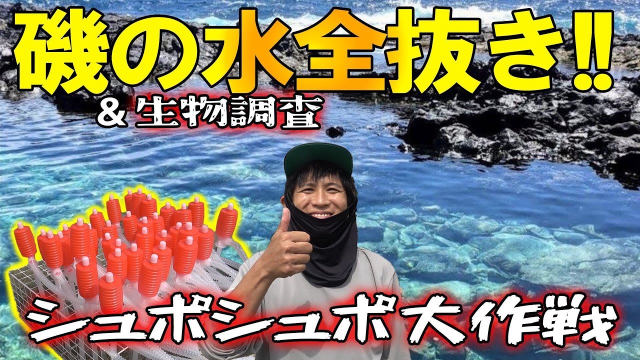 海の水抜いてみた！！