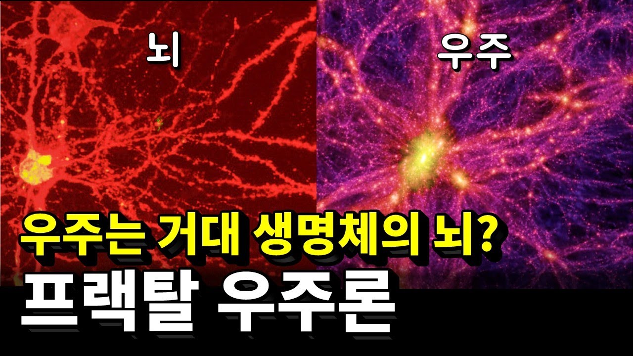 뇌와 우주 구조의 놀라운 공통점?! 프랙탈 우주론