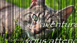 Cats vs Cats - Le forum rpg LGDC Cats vs Cats - Le forum rpg LGDC