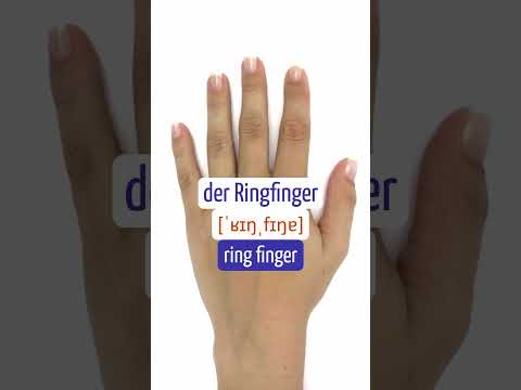 Video: Wie heißen die fünf Finger?