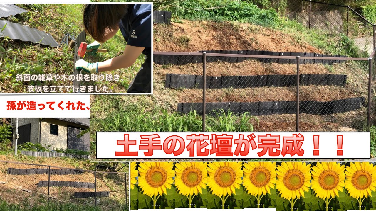 花壇が完成しました。（後編） #あぜ波板 ＃花壇造成 ＃コツコツト 
