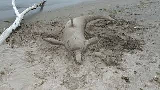 Sand dolphin by Lake Michigan!!😁❤