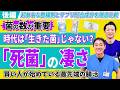 【後編】乳酸菌は生きてなくてよい!? 人気の整腸剤と乳酸菌サプリ ラクエイドを比較 菌数や生菌・死菌の違いを解説 No.641