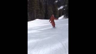 Snowboarding Sloth